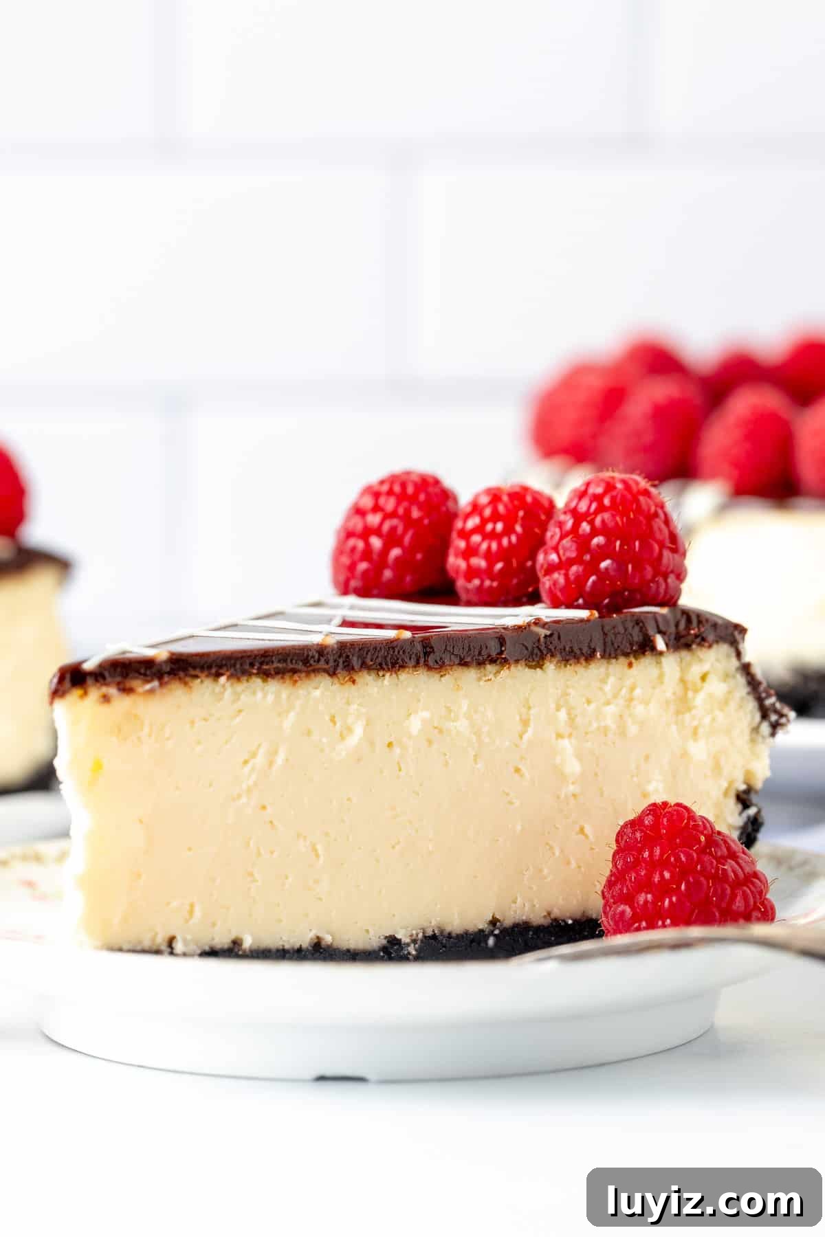 Creamy White Chocolate Cheesecake Recipe for Dessert Lovers 2 Slice of white chocolate cheesecake with Oreo crust and chocolate topping