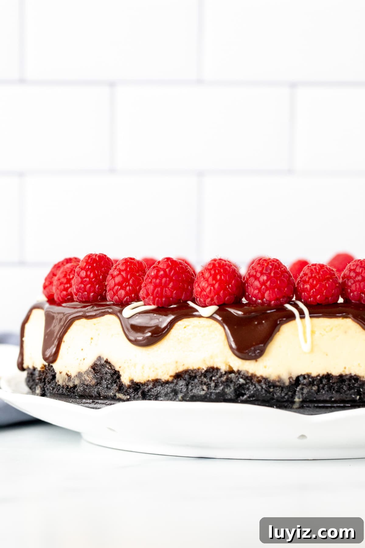 Creamy White Chocolate Cheesecake Recipe for Dessert Lovers 3 9-inch round white chocolate cheesecake with chocolate topping and raspberries