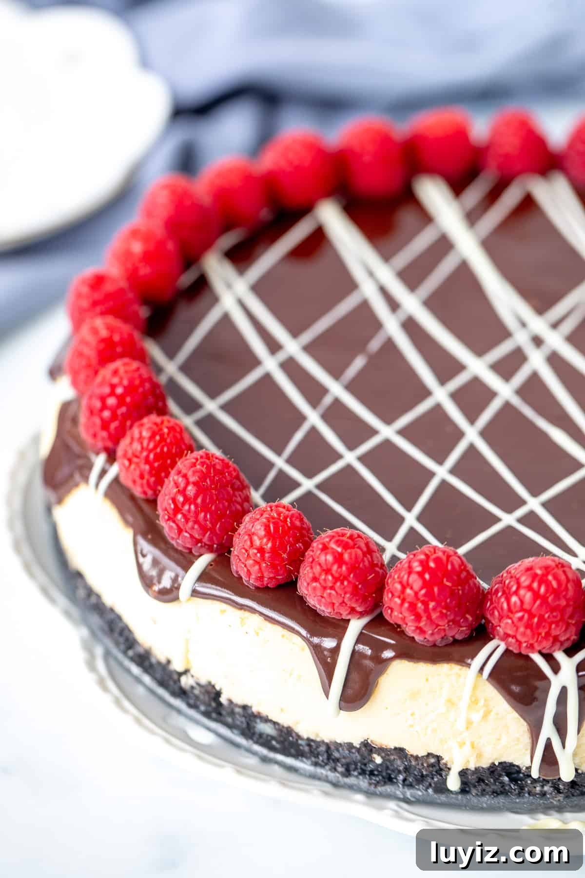Creamy White Chocolate Cheesecake Recipe for Dessert Lovers 10 White chocolate cheesecake with chocolate topping, drizzle of white chocolate and reaspberries around the edges