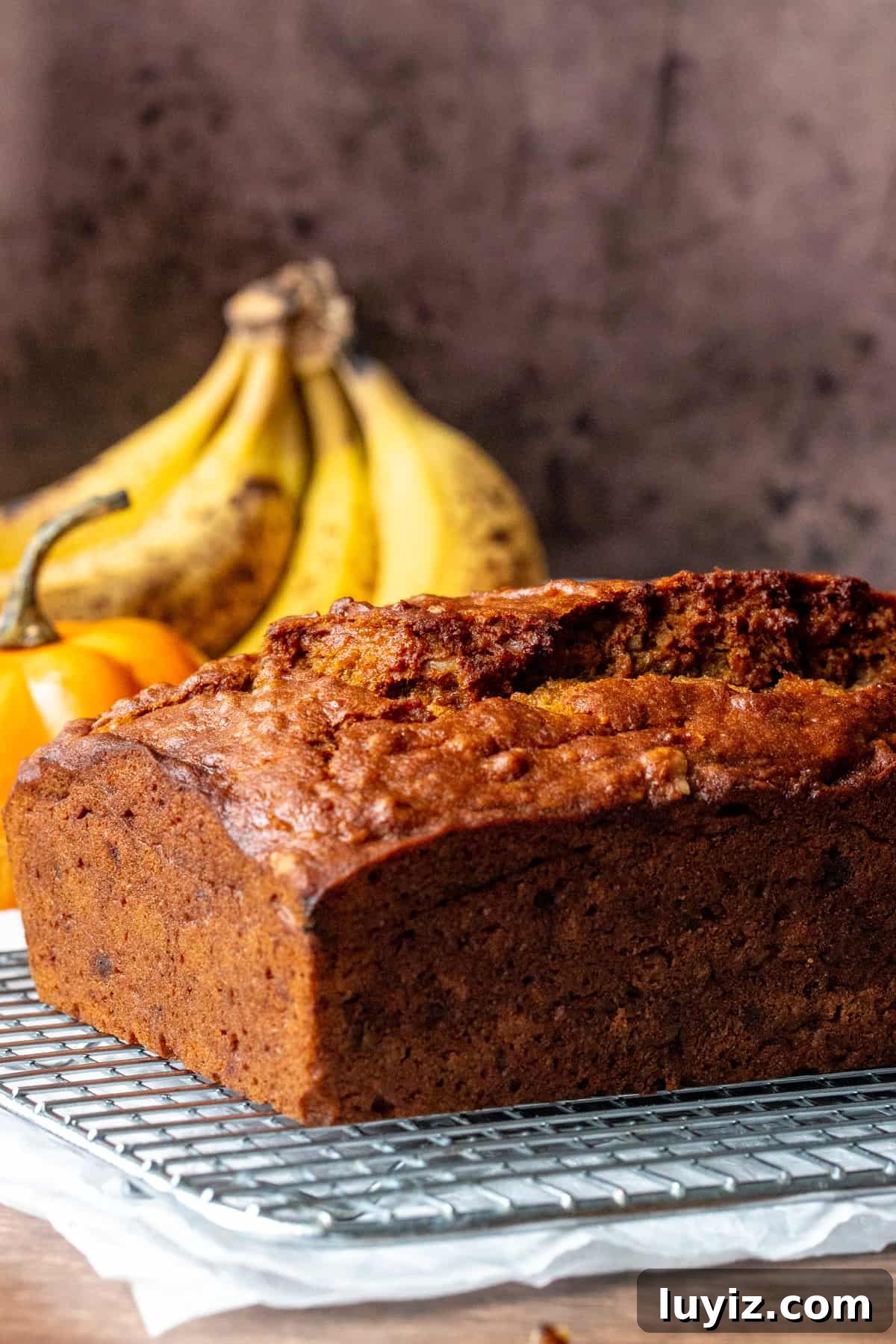 Moist Pumpkin Banana Bread Recipe for Fall Baking 7 Loaf of pumpkin banana bread with brown bananas & mini pumpkin