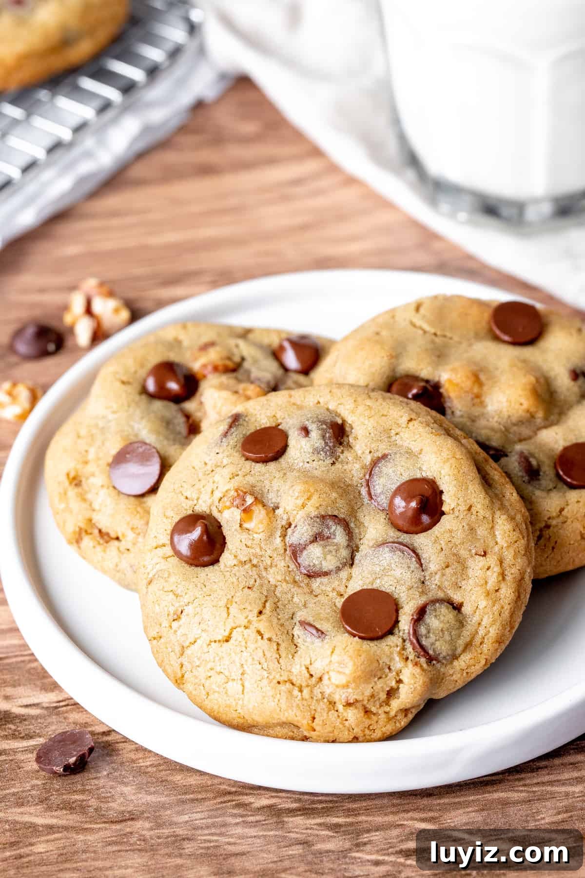 Crispy Chocolate Chip Walnut Cookies Recipe for Home Bakers 4 Plate of 3 chocolate chip cookies with walnuts