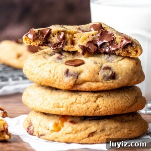 Crispy Chocolate Chip Walnut Cookies Recipe for Home Bakers 6 Stack of chocolate chip walnut cookies