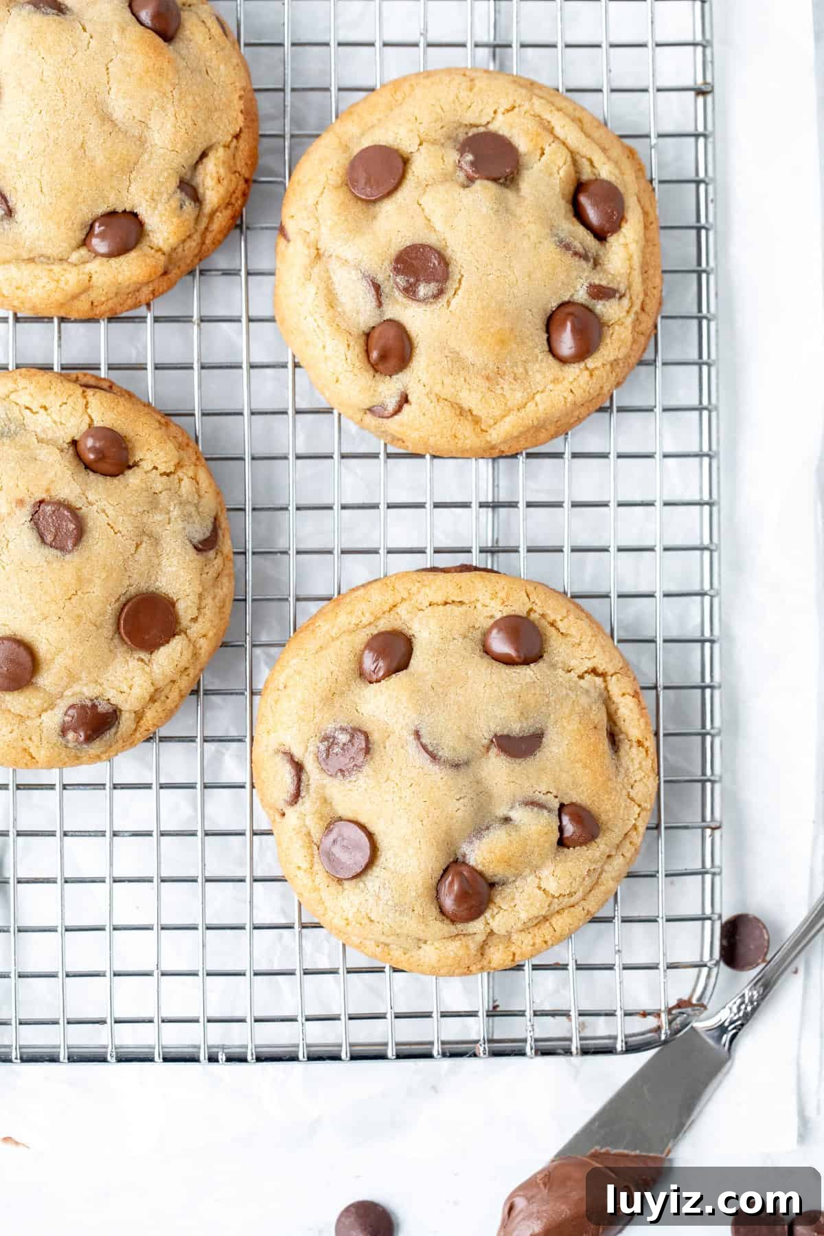Decadent Nutella-Filled Chocolate Chip Cookies 6 Chocolate chip cookies stuffed with Nutella on a cooling rack