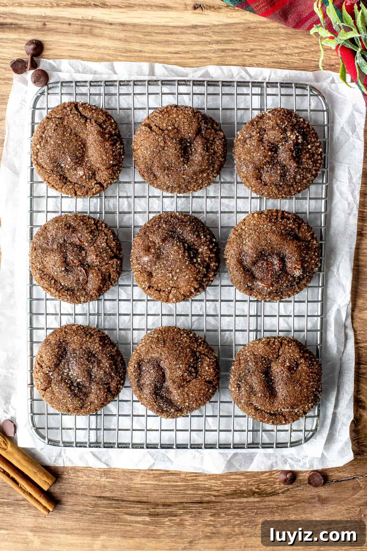 Chocolate Gingerbread Cookies Recipe with Rich Cocoa and Spices 3 Chocolate ginger molasses cookies rolled in sugar, on a cooling rack