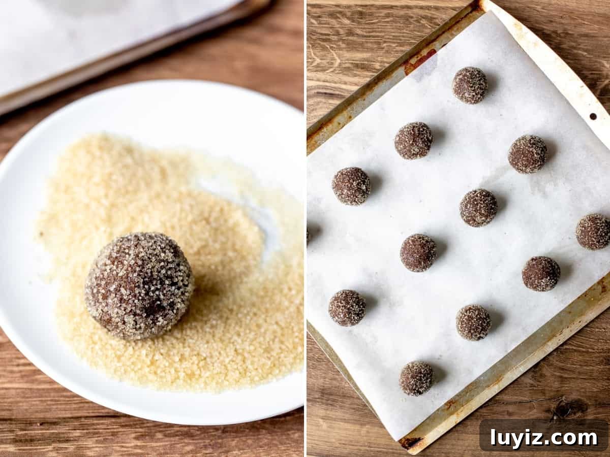 Chocolate Gingerbread Cookies Recipe with Rich Cocoa and Spices 4 Cookie dough ball rolled in sugar on a plate and dough balls on a lined cookie sheet.