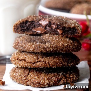 Chocolate Gingerbread Cookies Recipe with Rich Cocoa and Spices 6 Stack of chocolate gingerbread cookies with top cookie broken in half