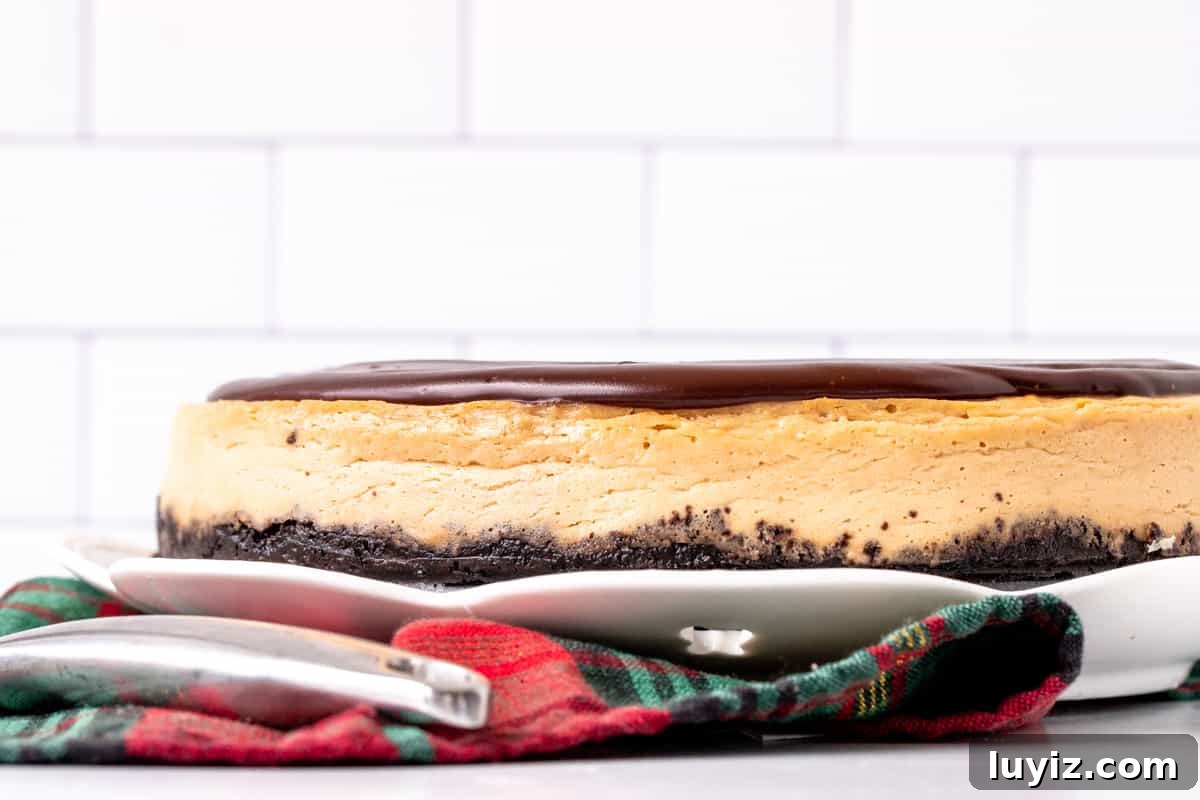 Kahlua Cheesecake with Oreo Cookie Crust 3 9-inch round coffee liqueur cheesecake
