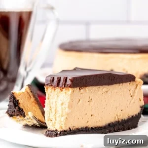Slice of Kahlua cheesecake with a bite taken out