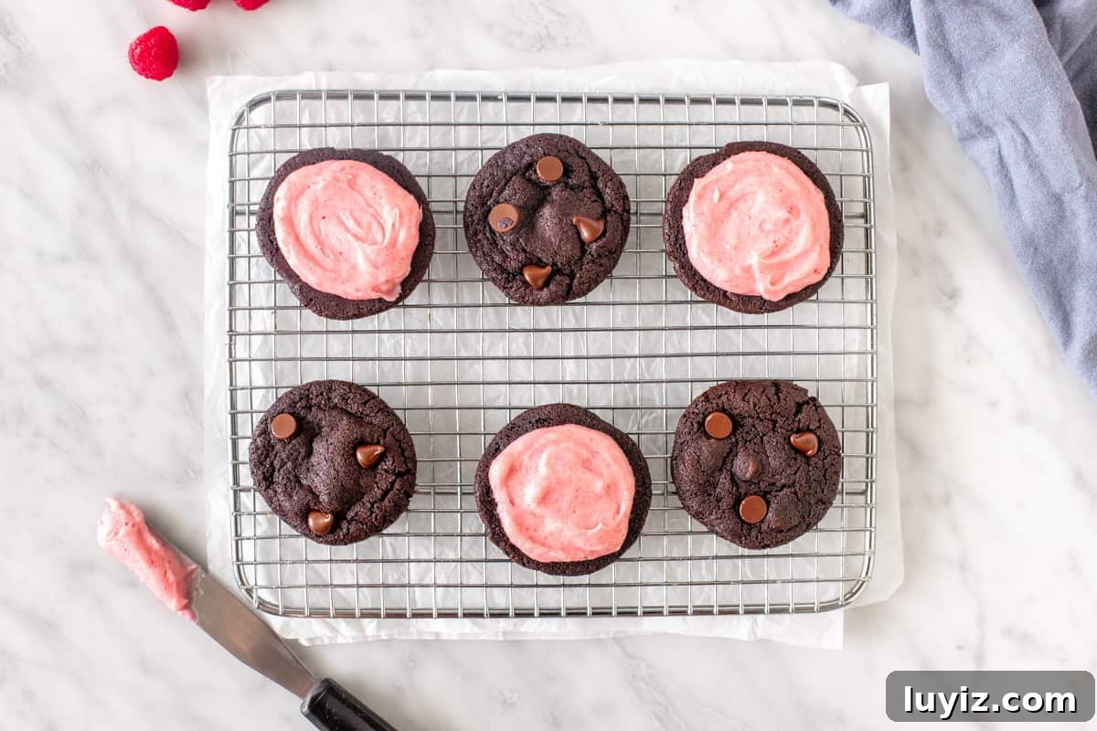 Chocolate Raspberry Sandwich Cookies Recipe | Decadent Filled Cookies 3 6 chocolate cookies with pink frosting on a wire rack.
