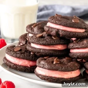 Plate of chocolate raspberry sandwich cookies