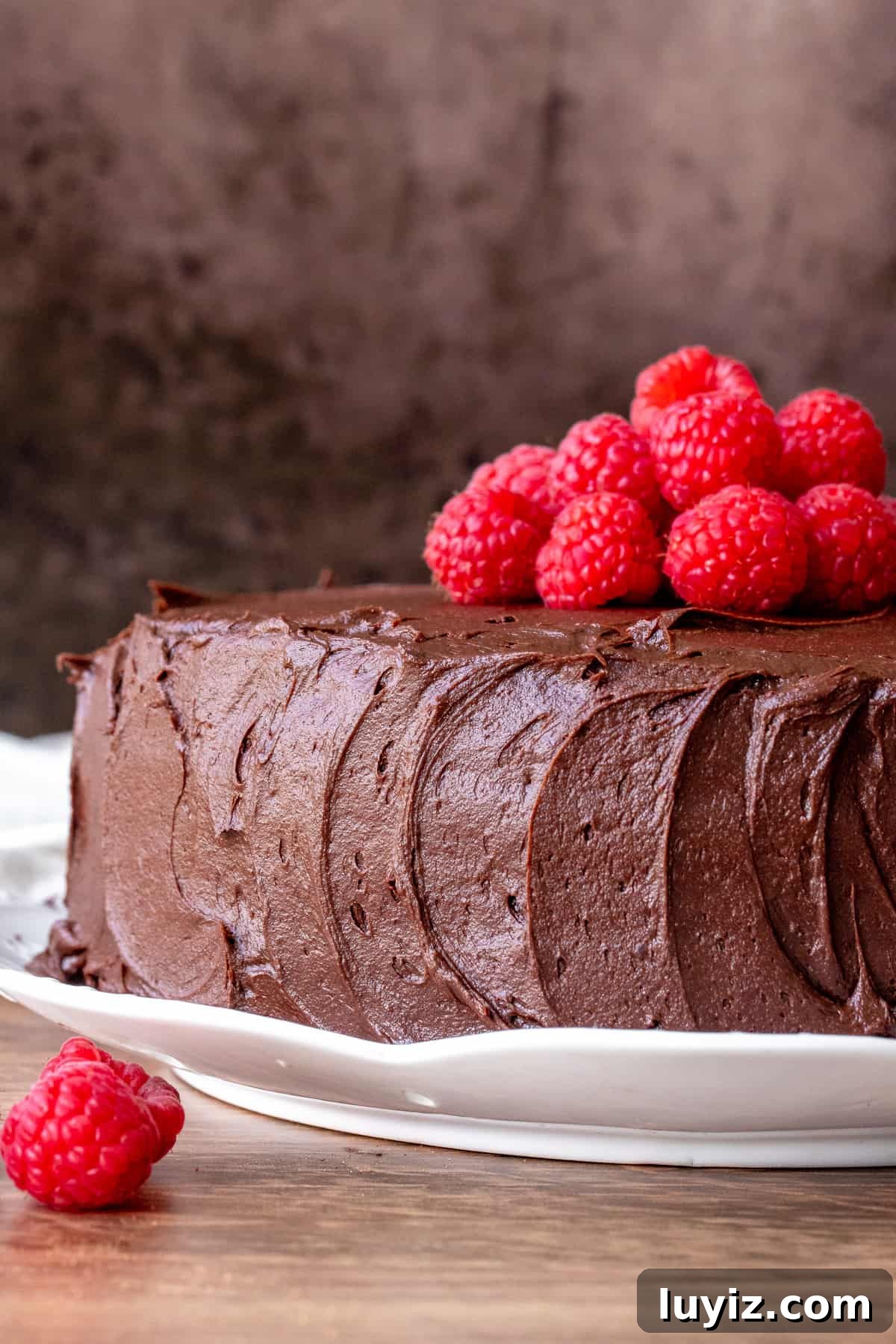 Decadent Chocolate Raspberry Layer Cake Recipe 3 Chocolate cake topped with raspberries