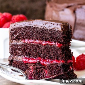 Slice of chocolate raspberry cake with a bite taken out of it