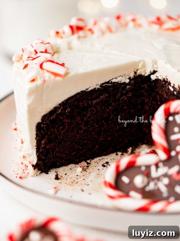 How to Make Classic Homemade Peppermint Patties at Home 12 Single layer peppermint chocolate cake sliced with candy cane heart placed on the dessert plate.