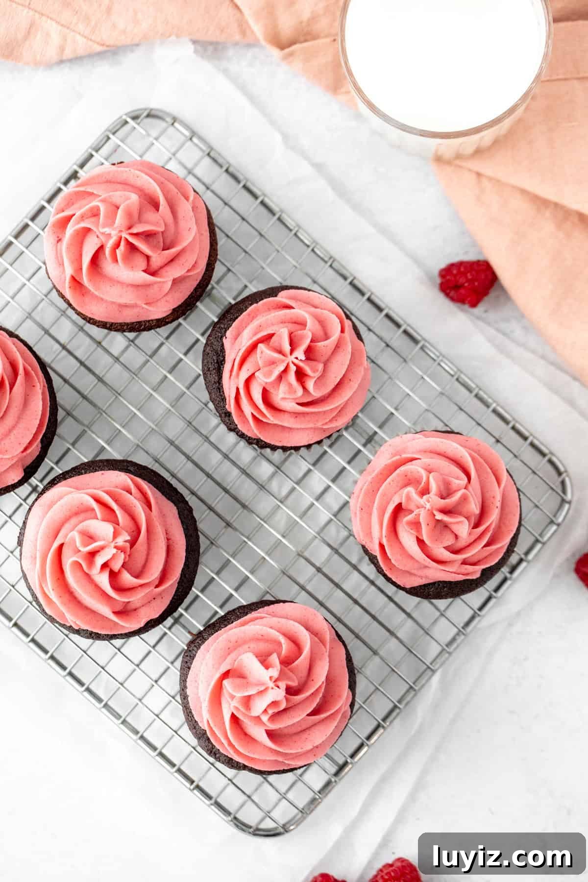 Decadent Chocolate Raspberry Cupcakes with Raspberry Filling 6 6 chocolate cupcakes topped with a swirl of pink raspberry frosting