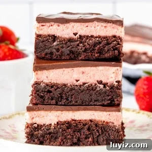Strawberry Truffle Brownies Recipe — Decadent Chocolate-Strawberry Treat 5 Stack of 3 strawberry truffle brownies.