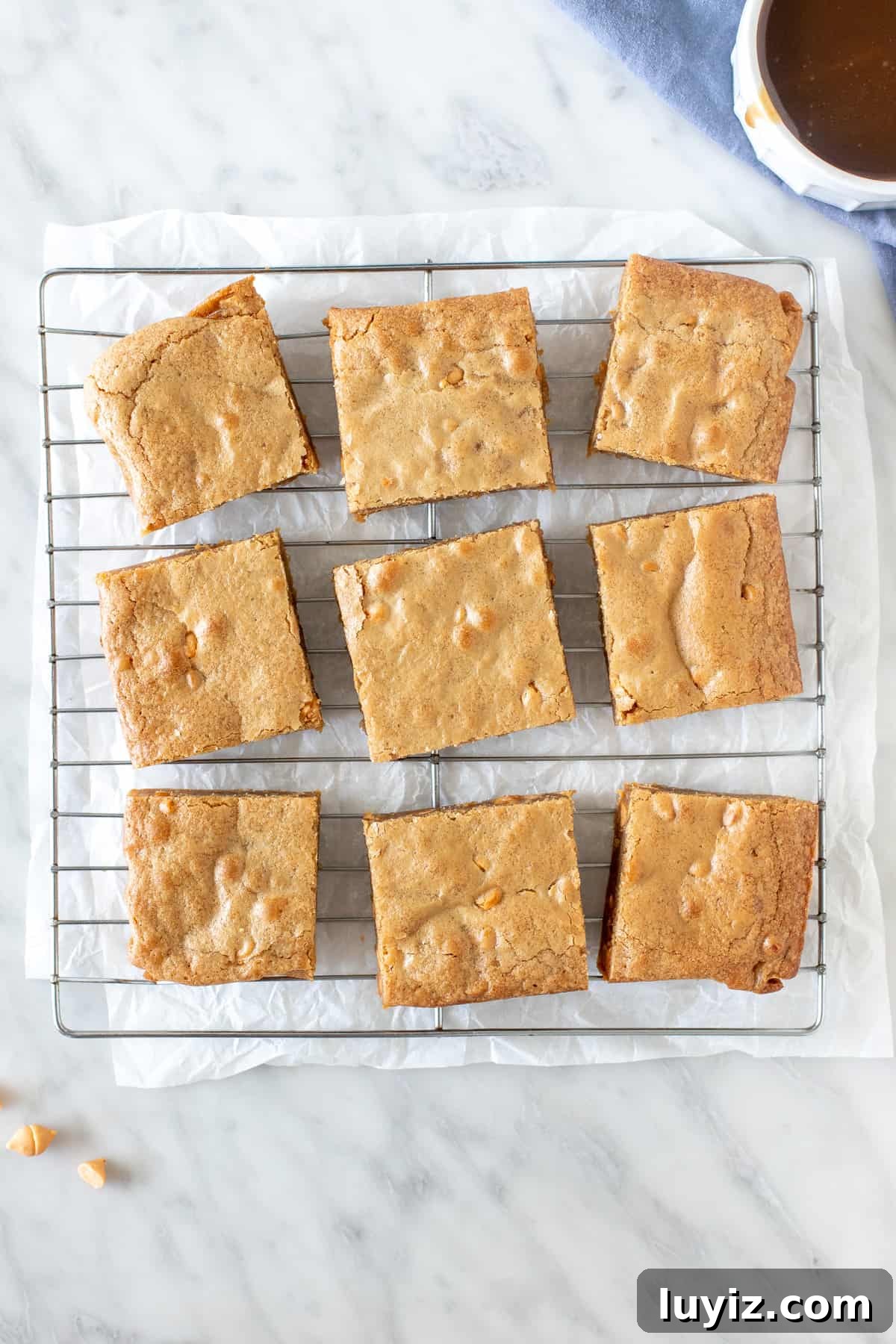 Chewy Butterscotch Blondies Recipe for Rich, Gooey Bars 3 9 blondies on a cooling rack.