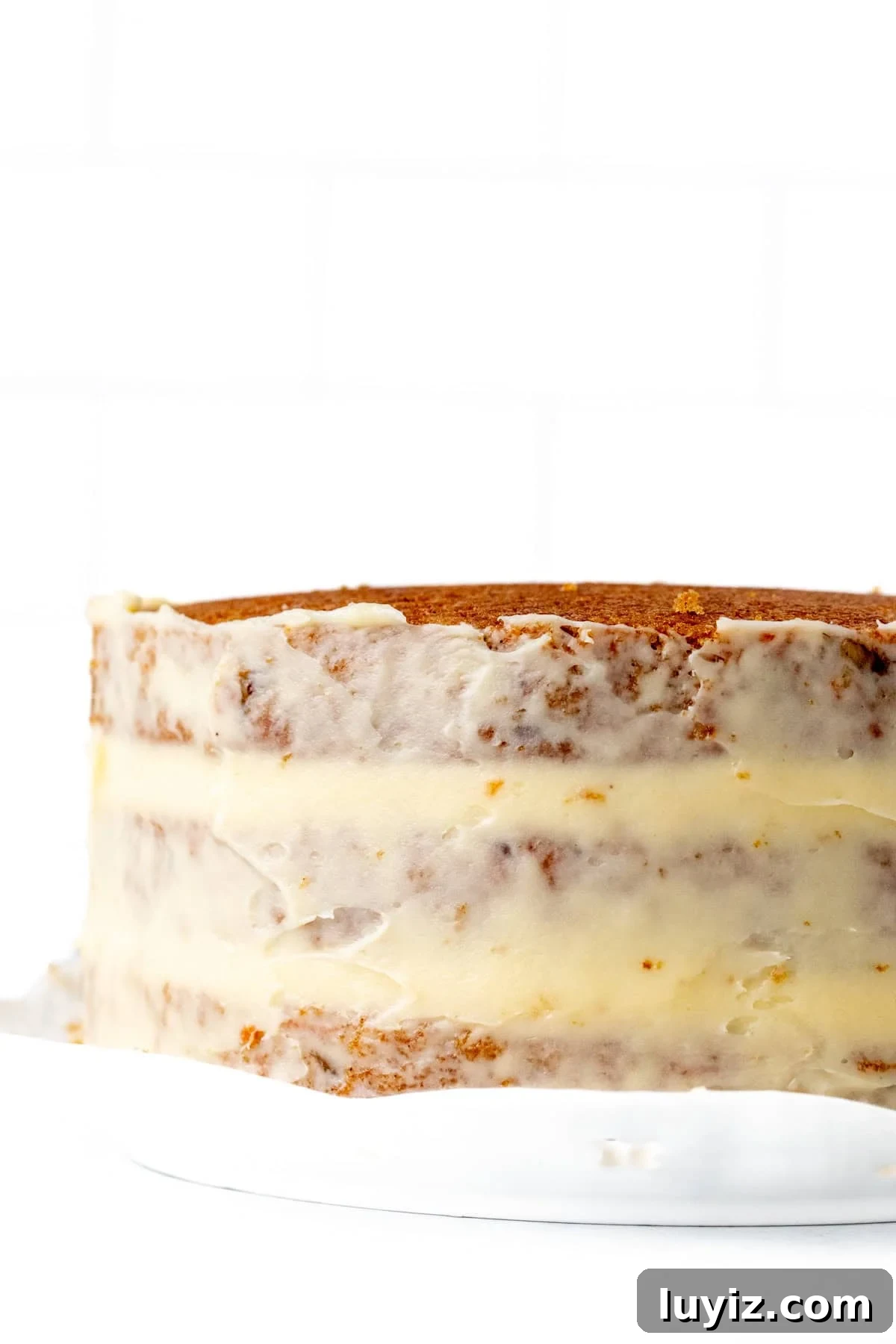 Layered Carrot Cake with Cream Cheese Frosting: Moist Recipe 7 3 layer carrot cake with crumb coat of cream cheese frosting