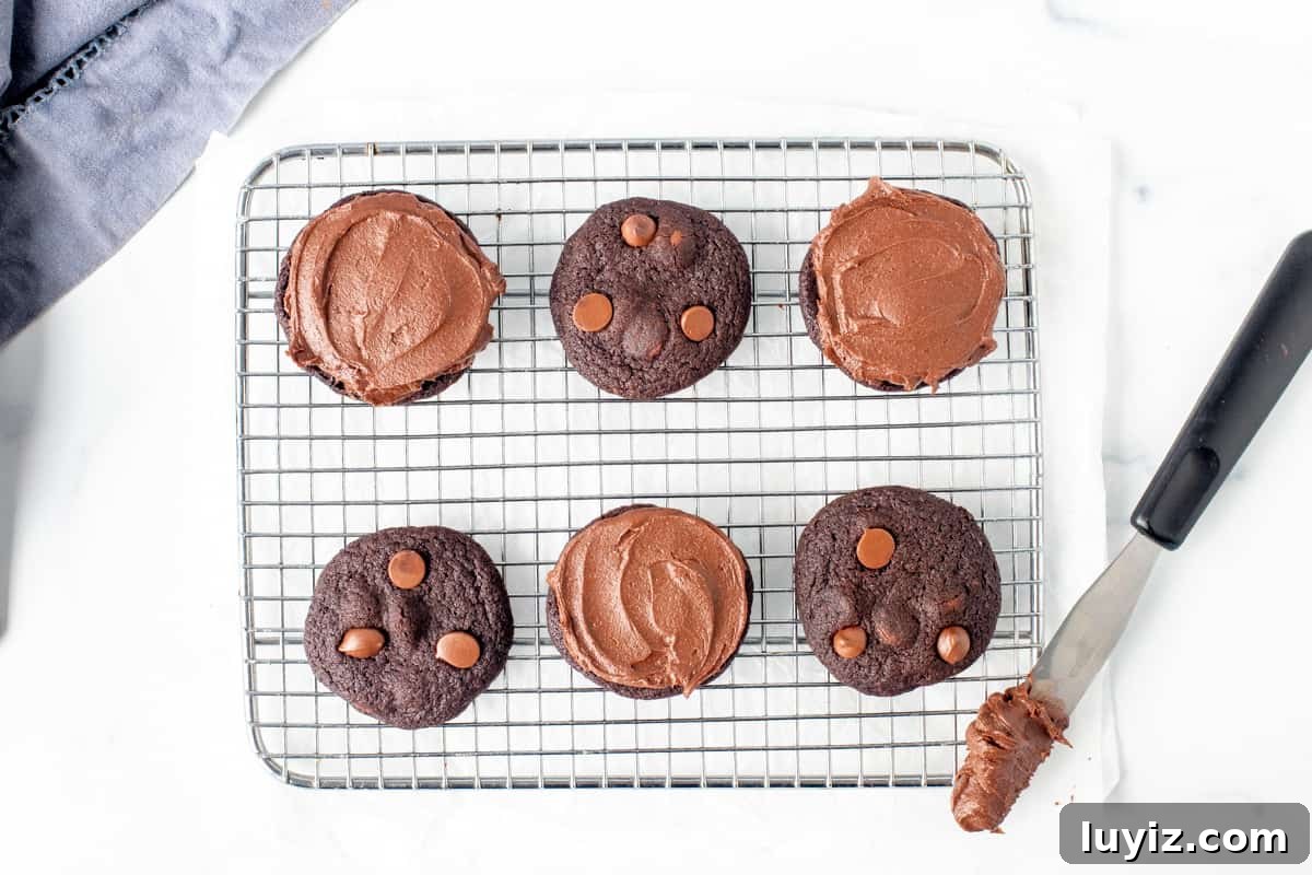Double Chocolate Sandwich Cookies Recipe for Decadent Treats 3 6 chocolate cookies, 3 with chocolate icing on a cooling rack