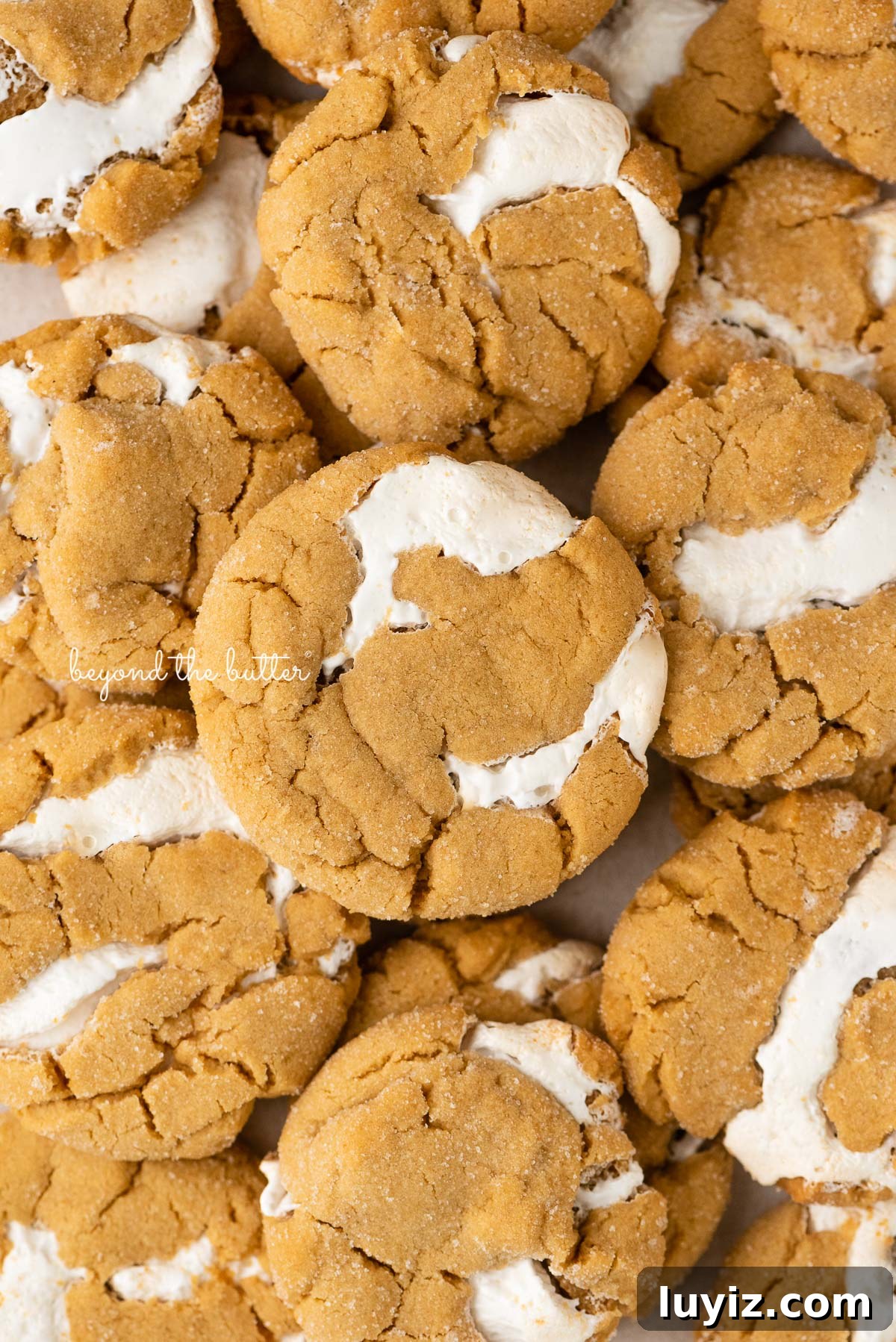 Fluffernutter Sandwich Cookies with Peanut Butter & Marshmallow Filling 2 Closeup of fluffernutter cookies.
