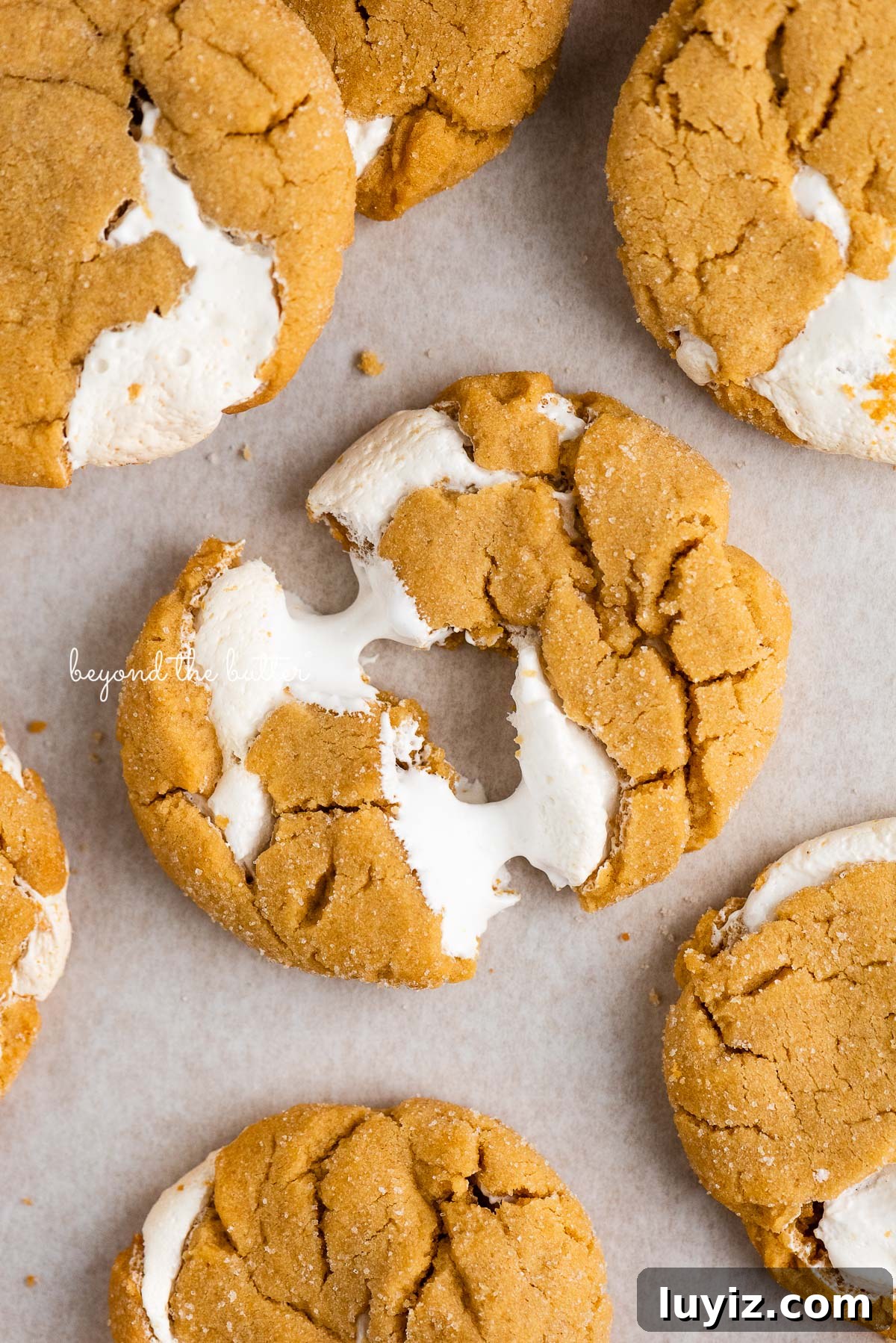 Fluffernutter Sandwich Cookies with Peanut Butter & Marshmallow Filling 11 Fluffernutter cookie split in half with melted marshmallow in between on white parchment paper background.
