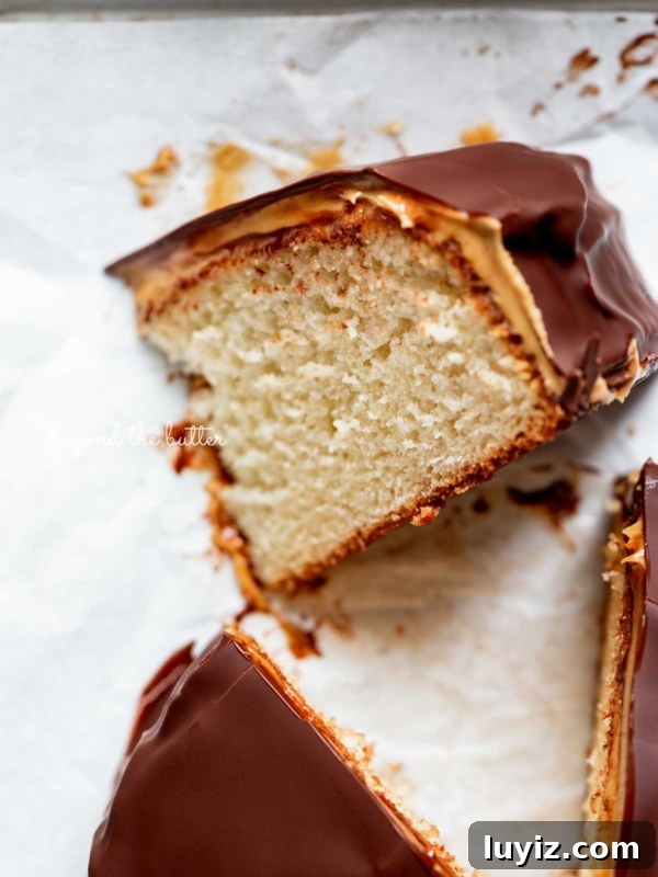 Fluffernutter Sandwich Cookies with Peanut Butter & Marshmallow Filling 14 Small chocolate peanut butter tandy kake with a slice removed and placed on its side.