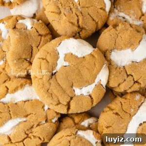 Fluffernutter Sandwich Cookies with Peanut Butter & Marshmallow Filling 16 Closeup of fluffernutter cookies.