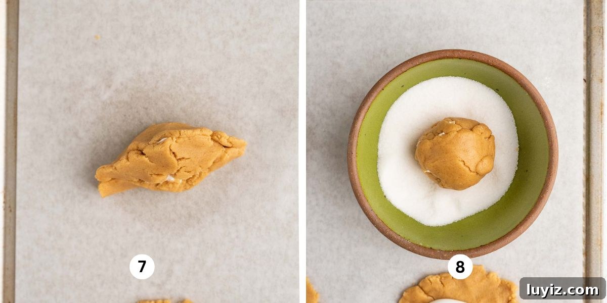 Fluffernutter Sandwich Cookies with Peanut Butter & Marshmallow Filling 9 Shaping and rolling fluffernutter cookie dough balls in granulated sugar.