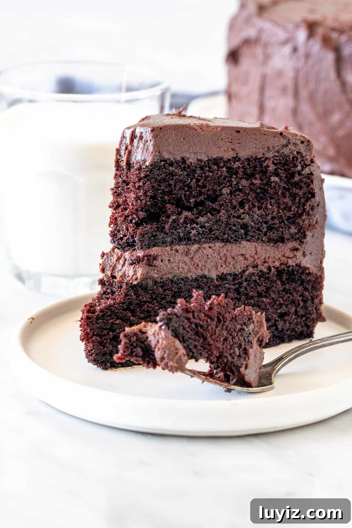 Mother’s Day Brunch & Dessert Ideas: Sweet Breakfast Recipes 12 Slice of chocolate fudge cake with a bite taken out of it.