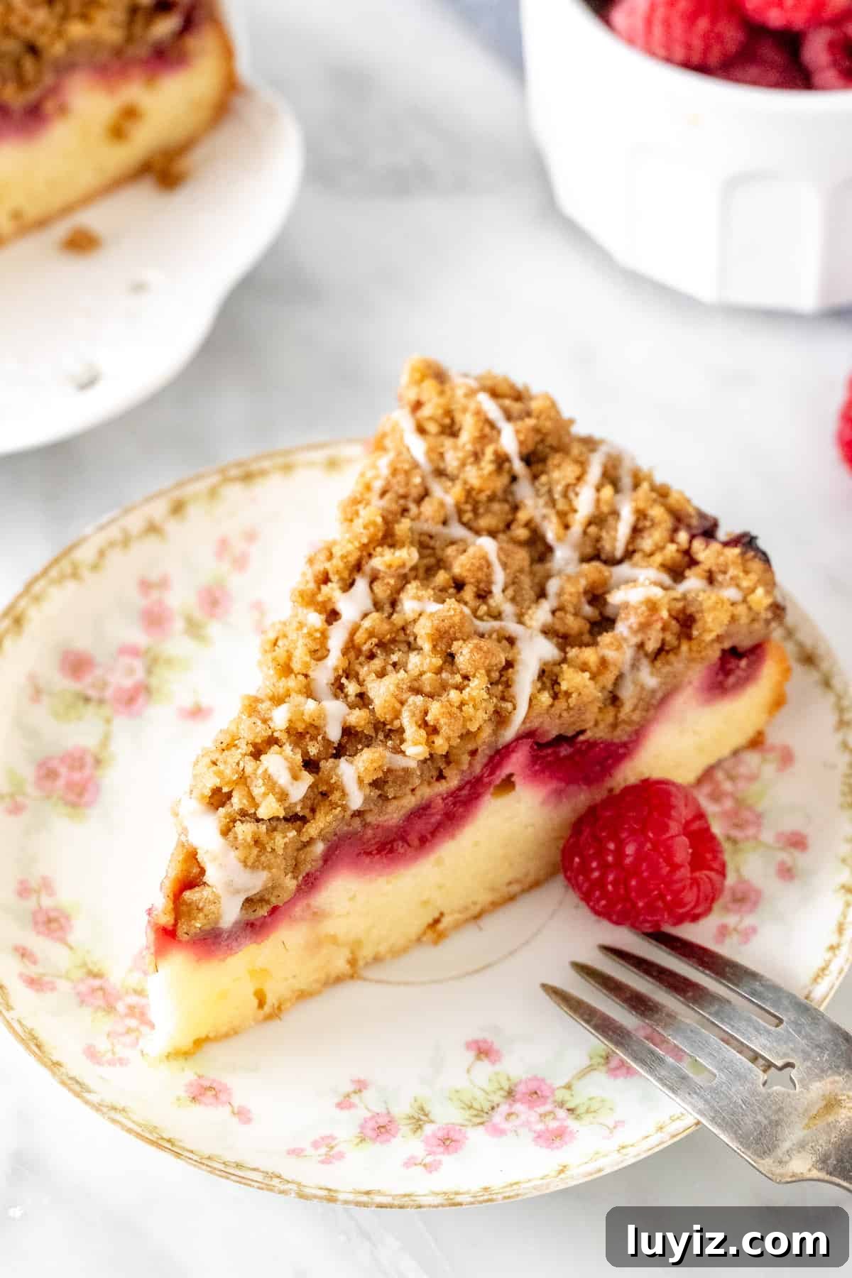 Mother’s Day Brunch & Dessert Ideas: Sweet Breakfast Recipes 8 Slice of streusel topped cake with a layer of raspberries.