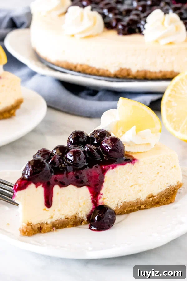 Mother’s Day Brunch & Dessert Ideas: Sweet Breakfast Recipes 10 Slice of lemon cheesecake topped with blueberry sauce on a plate.
