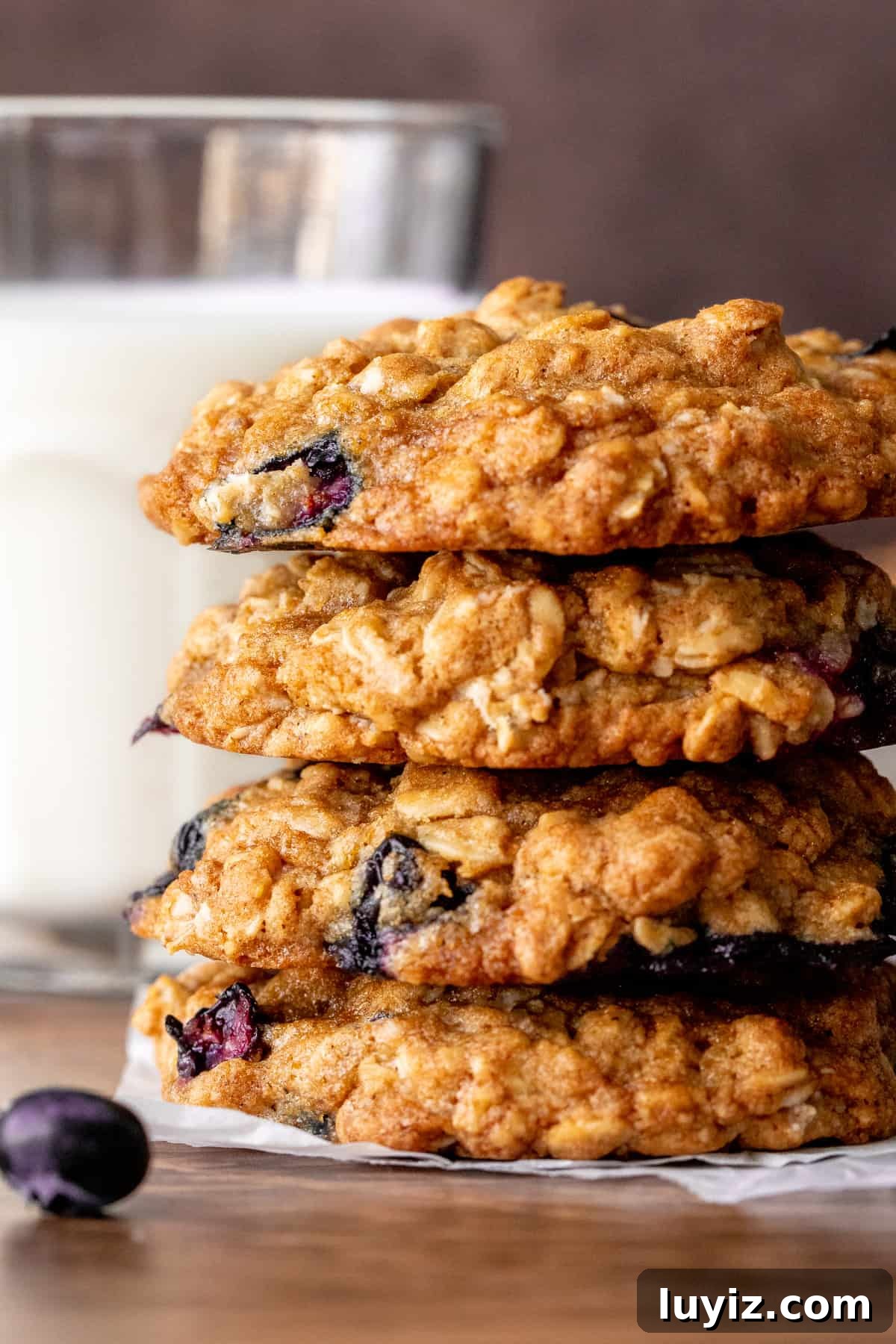Chewy Blueberry Oatmeal Cookies Recipe for Breakfast & Snacks 2 Stack of 4 blueberry oatmeal cookies