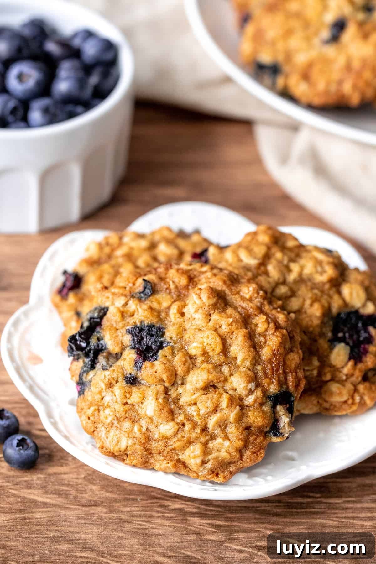 Chewy Blueberry Oatmeal Cookies Recipe for Breakfast & Snacks 3 Plate of 4 blueberry oatmeal cookies