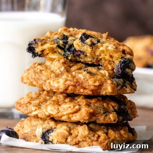 Chewy Blueberry Oatmeal Cookies Recipe for Breakfast & Snacks 9 Stack of blueberry oatmeal cookies, with top cookie broken in half.