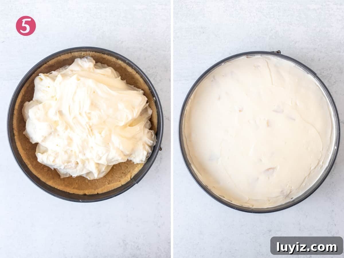 Golden Oreo Cheesecake Recipe: Creamy No-Bake Dessert Tutorial 8 No-bake golden Oreo cheesecake filling in crust, and no-bake golden Oreo cheesecake
