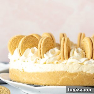 Golden Oreo Cheesecake Recipe: Creamy No-Bake Dessert Tutorial 10 9-inch round no-bake Golden Oreo Cheesecake, decorated with whipped cream and cookies