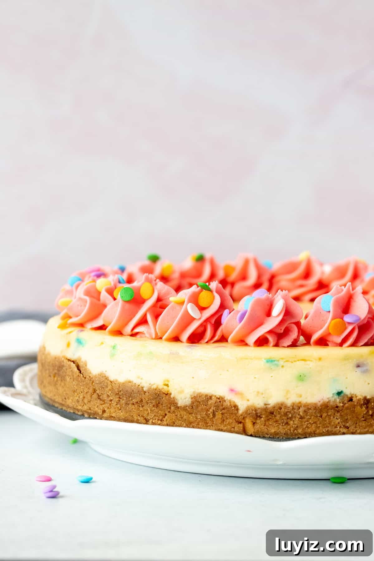 Funfetti Cheesecake Recipe: Colorful Layered Birthday Dessert 3 9-ich round sprinkle cheesecake decorated with pink frosting