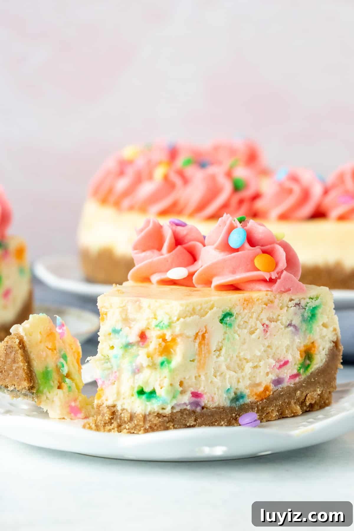Funfetti Cheesecake Recipe: Colorful Layered Birthday Dessert 7 Piece of funfetti cheesecake with bite taken out