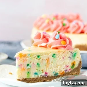 Lice of funfetti cheesecake