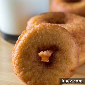 Classic Old-Fashioned Cake Doughnuts Recipe 6 Ready for the MOST delicious doughnuts? Make these Old-Fashioned Cake Doughnuts at home and turn your kitchen into the ultimate bakery!