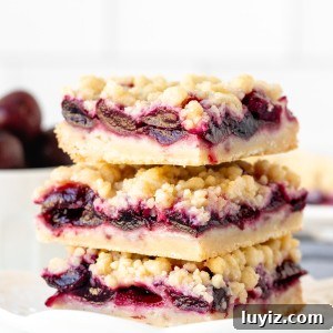 Chewy Cherry Crumb Bars Recipe with Golden Streusel 9 Stack of three cherry crumb bars