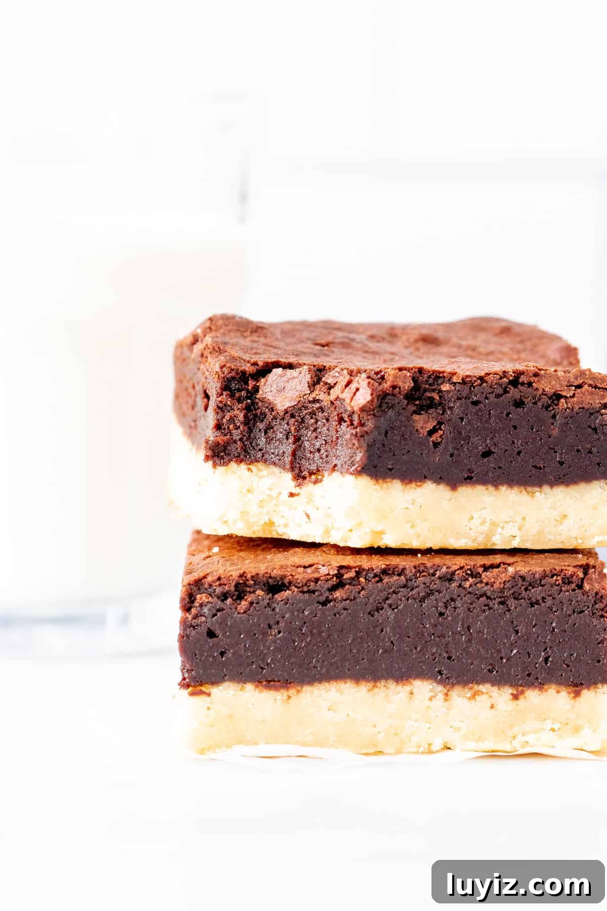 Shortbread Brownies Recipe: Buttery Crumb-Topped Chocolate Bars 7 Two brownies with a shortbread crust, stacked one on top of each other.