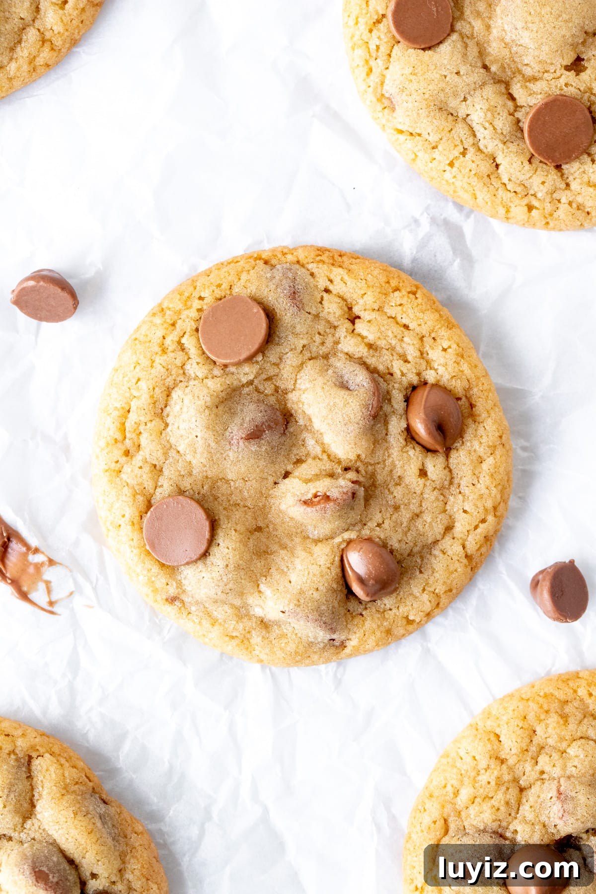 Soft Milk Chocolate Chip Cookies Recipe for Chewy Batches 4 Chocolate chip cookies, made with milk chocolate chips from above