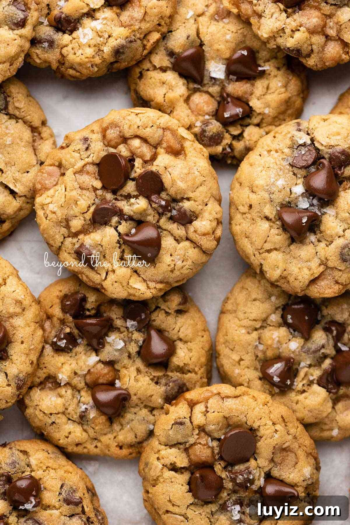 Salted Caramel Oatmeal Chocolate Chip Cookies 11 Oatmeal chocolate chip salted caramel cookies topped with flaky sea salt on a parchment paper lined baking sheet.