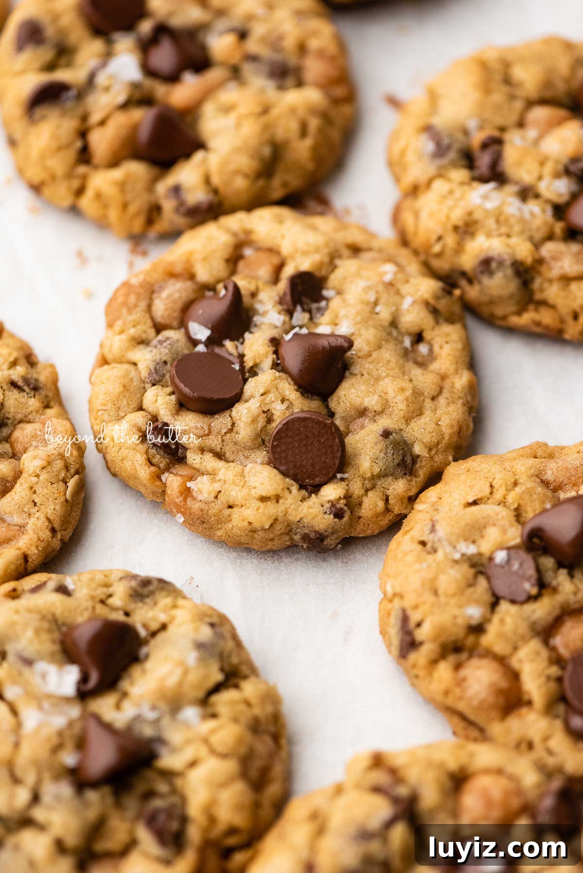 Salted Caramel Oatmeal Chocolate Chip Cookies 13 Oatmeal chocolate chip salted caramel cookies topped with flaky sea salt on a parchment paper lined baking sheet | © Beyond the Butter®
