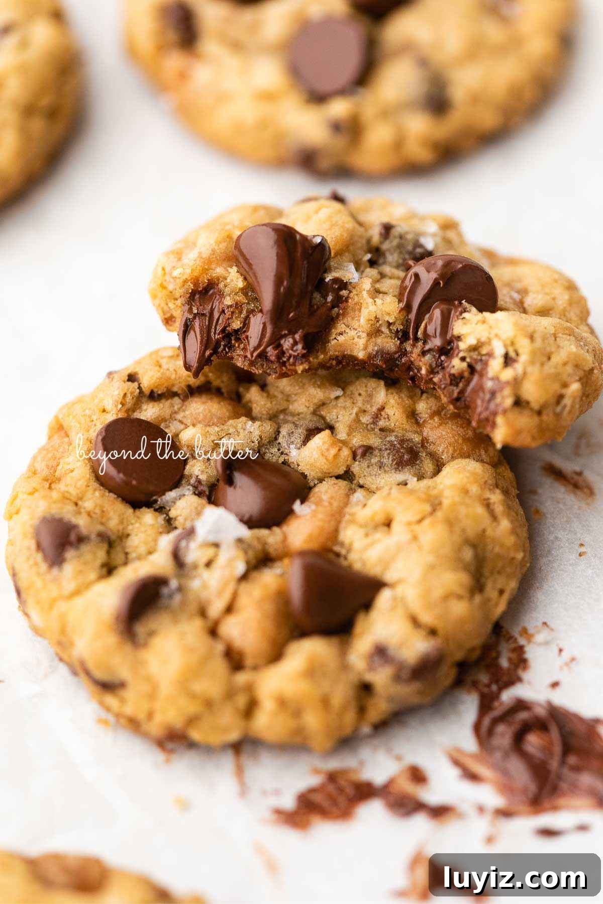 Salted Caramel Oatmeal Chocolate Chip Cookies 4 Half eaten oatmeal chocolate chip salted caramel cookie resting on top of another oatmeal cookie on a white parchment paper background.