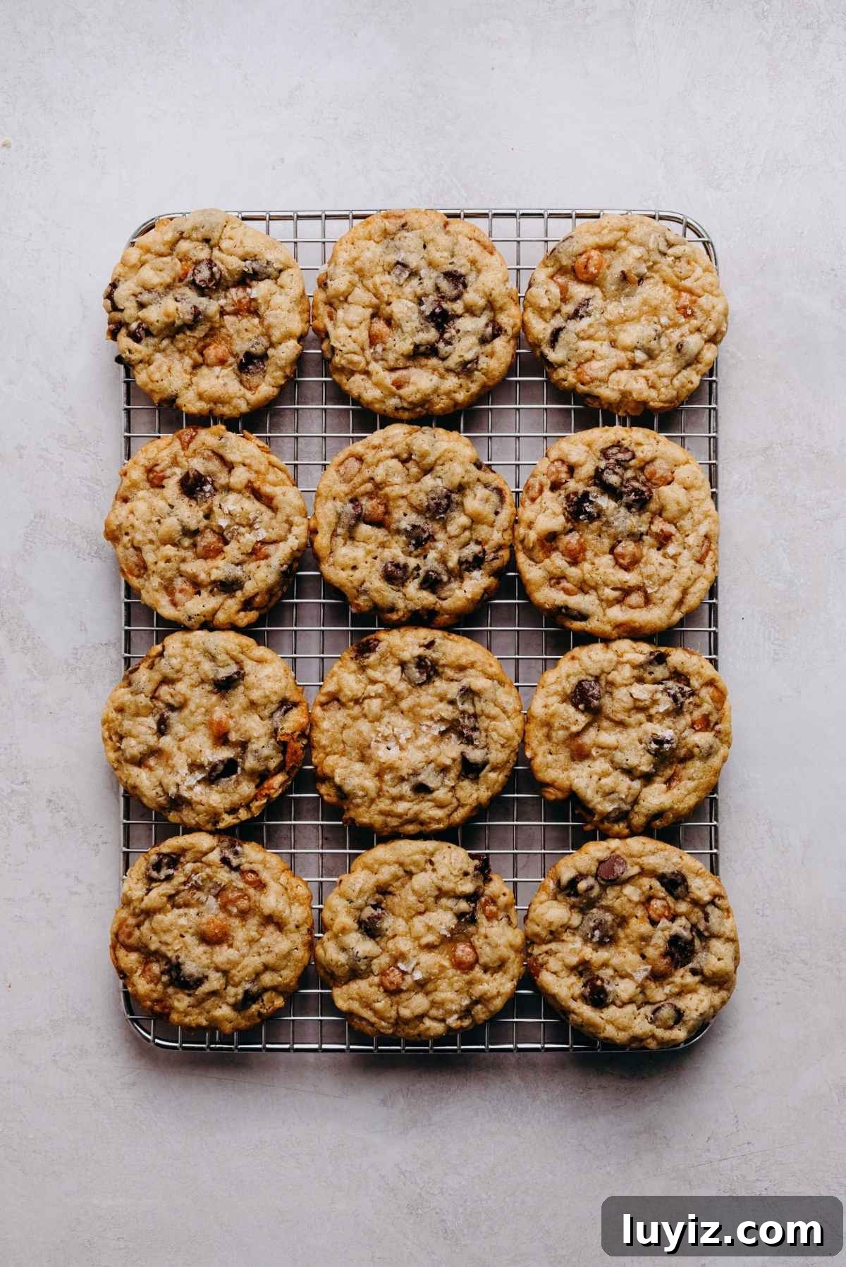 Salted Caramel Oatmeal Chocolate Chip Cookies 10 Oatmeal chocolate chip salted caramel cookies cooling on a stainless steel cooling rack on a white grey marbled background.