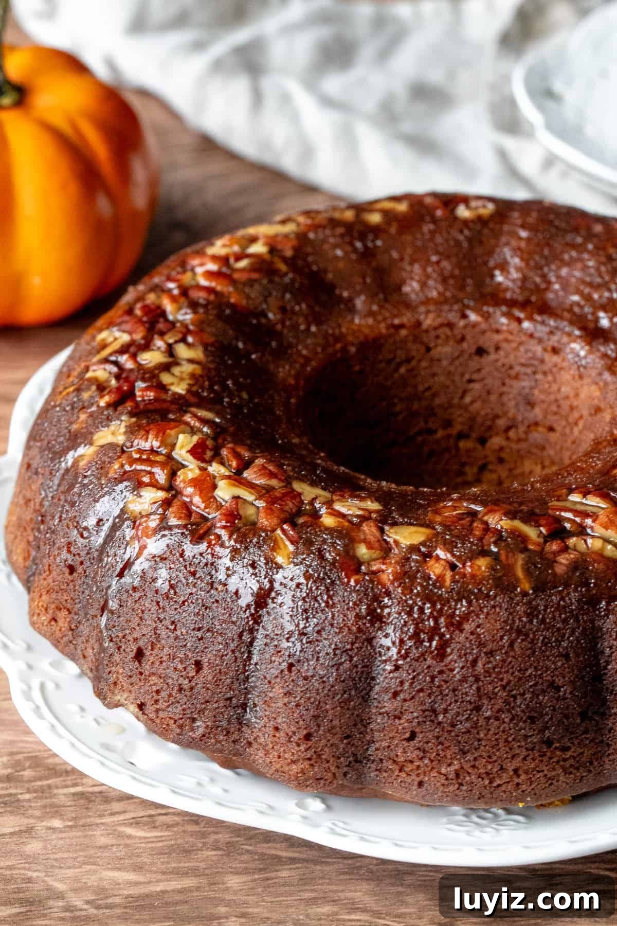 Spiced Pumpkin Rum Cake Recipe for Fall Gatherings 2 Pumpkin rum cake made in a bundt pan on a white place
