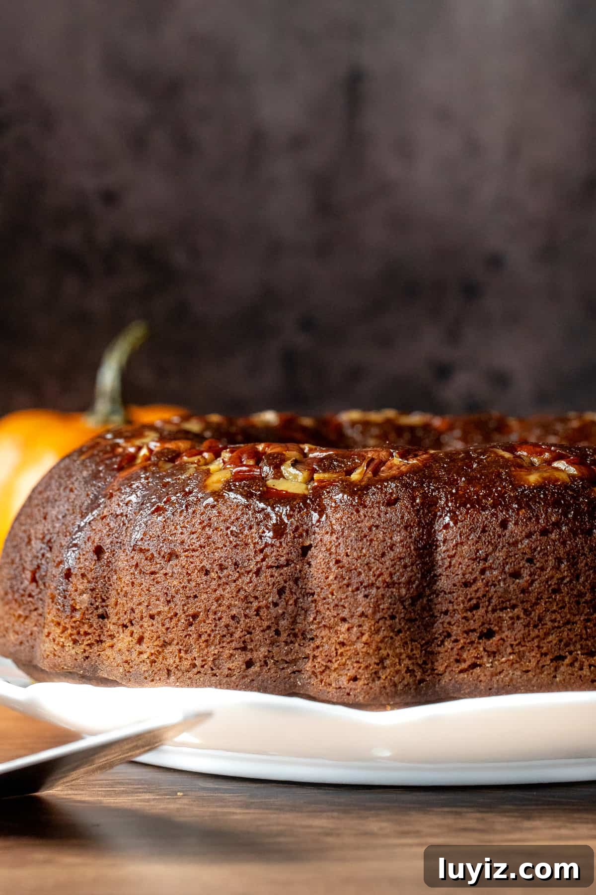 Spiced Pumpkin Rum Cake Recipe for Fall Gatherings 5 Pumpkin rum cake topped with pecans and brushed with butter rum sauce
