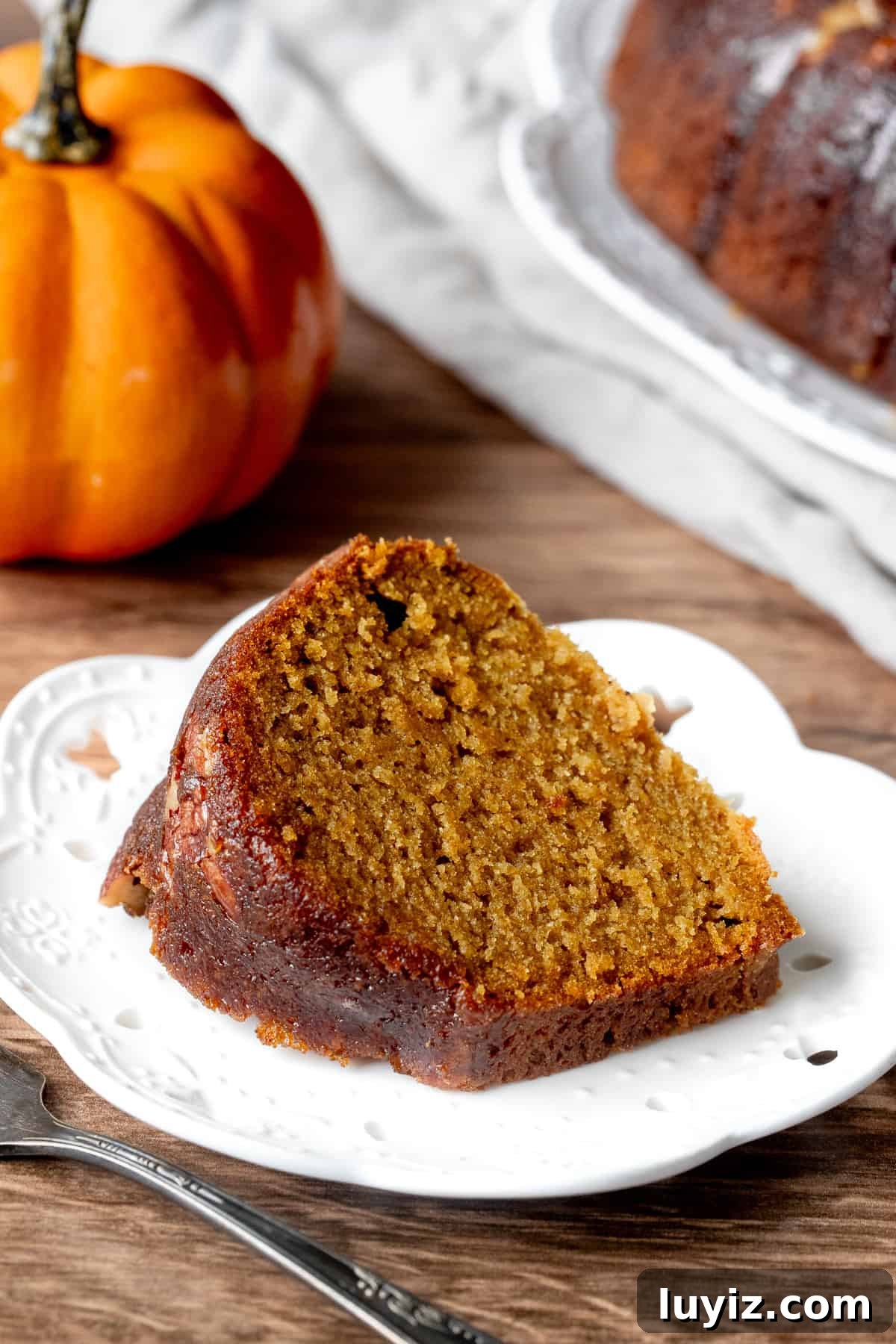Spiced Pumpkin Rum Cake Recipe for Fall Gatherings 6 Slice of pumpkin rum cake on a white plate.