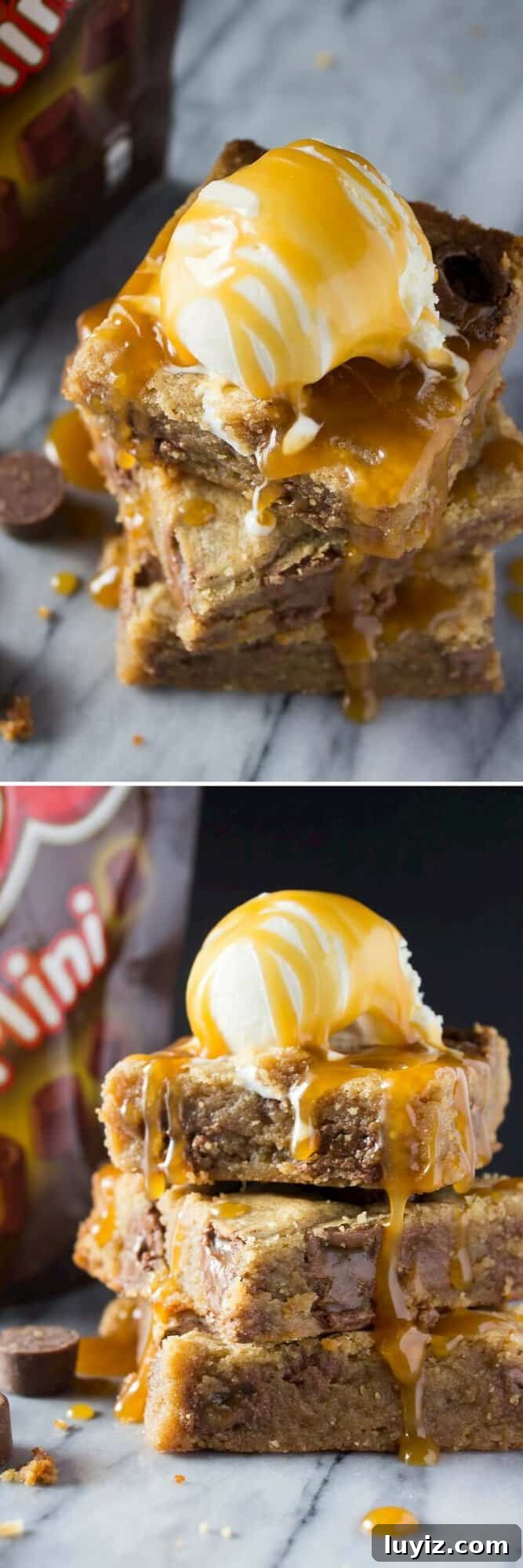 Salted Peanut Butter Caramel Blondies Recipe 4 Fudgy, gooey Peanut Butter Caramel Blondies. Because with lots of peanut butter, Rolo candies, caramel sauce, no mixer & only 1 bowl - you need to make these!